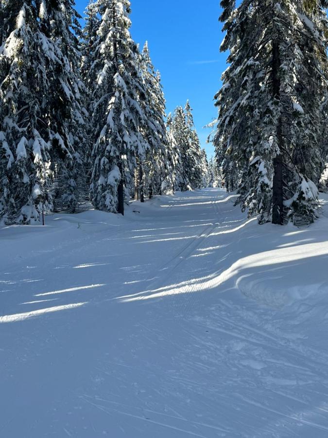 Sweet Home Cieplice Mountain View Apartament By The Main Park And Thermal Pools Єленя-Ґура Екстер'єр фото