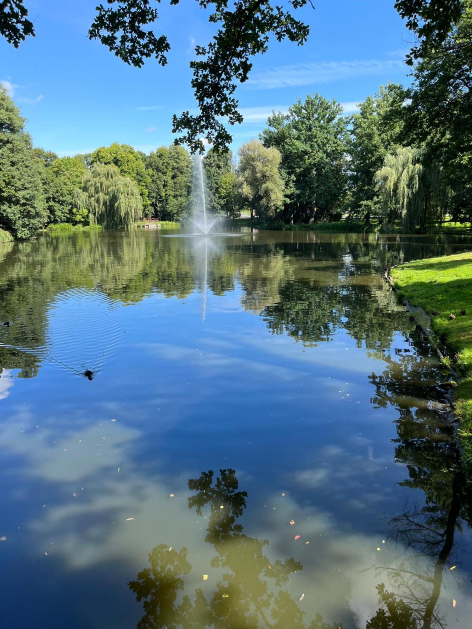 Sweet Home Cieplice Mountain View Apartament By The Main Park And Thermal Pools Єленя-Ґура Екстер'єр фото